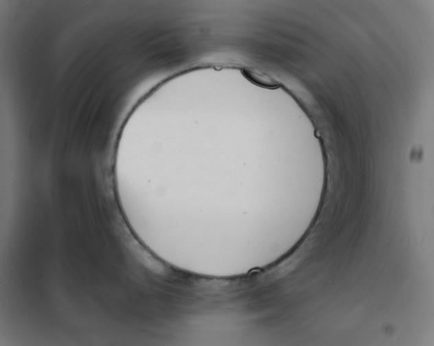X0000101661248200808071013