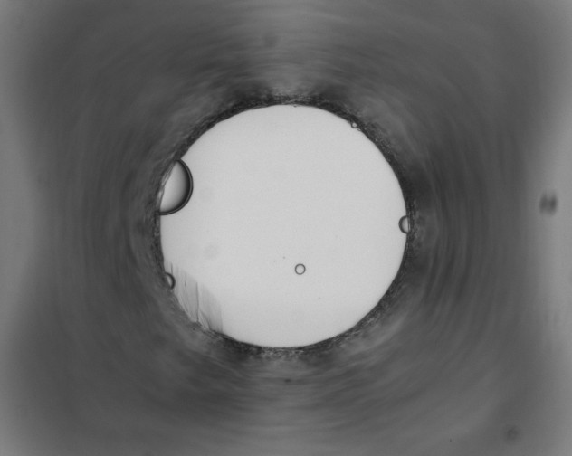 X0000101661249200808071013