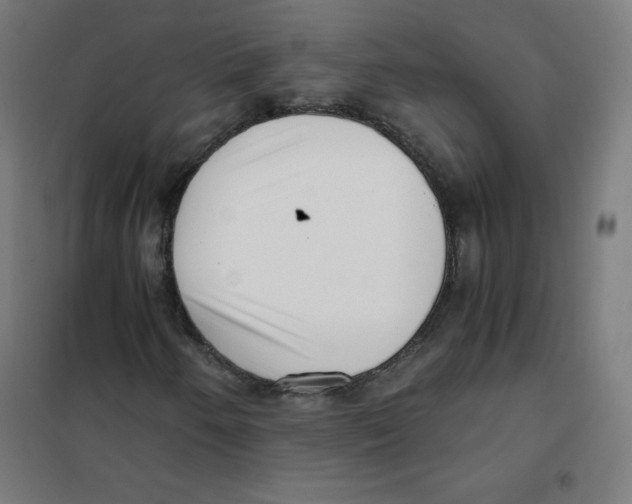 X0000101661250200808071013