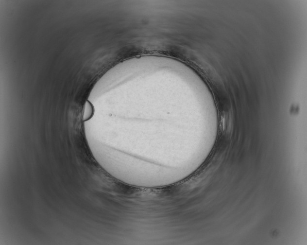 X0000101661251200808071013
