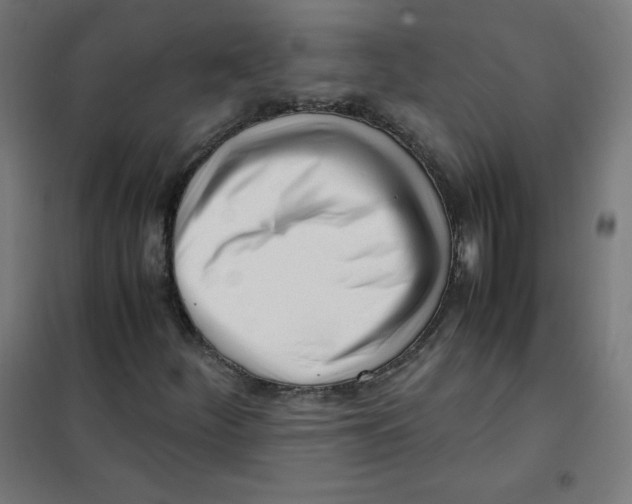 X0000101661252200808071013