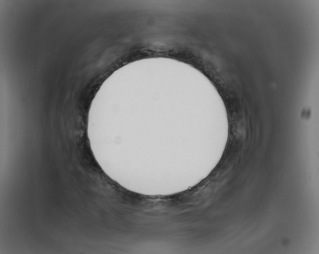 X0000101661253200808071013
