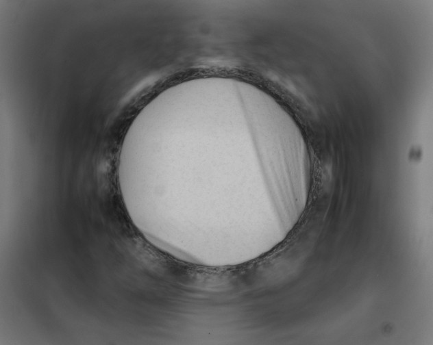 X0000101661254200808071013