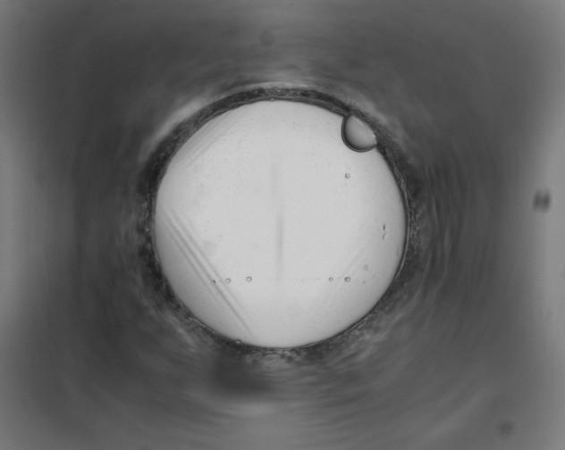 X0000101661255200808071013
