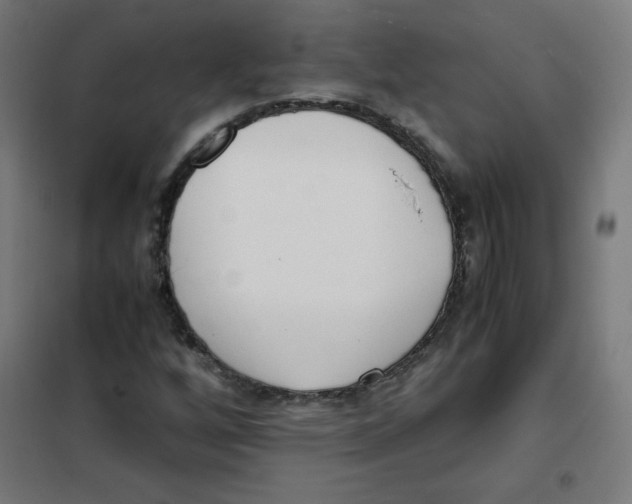 X0000101661256200808071013