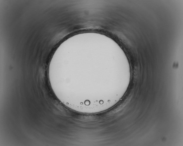 X0000101661257200808071012