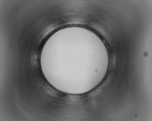 X0000101661258200808071012