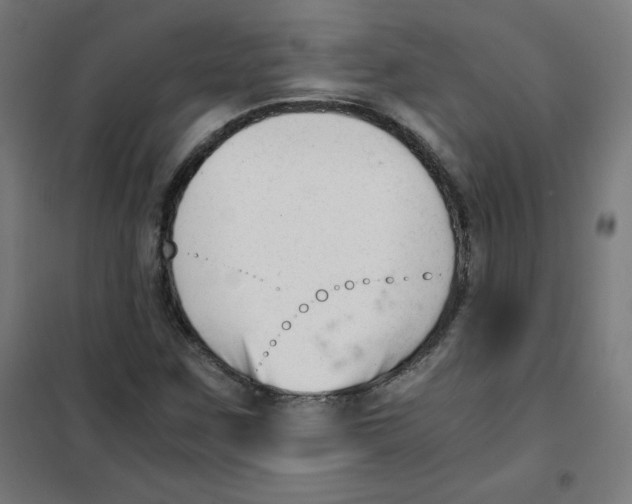 X0000101661259200808071012