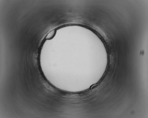 X0000101661260200808071012