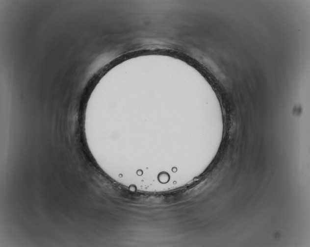 X0000101661261200808071012