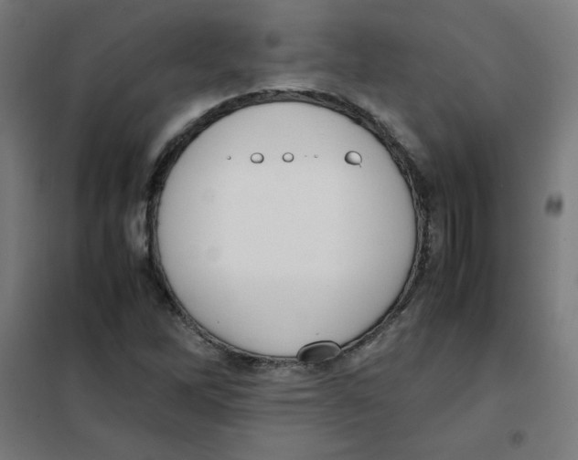 X0000101661262200808071012