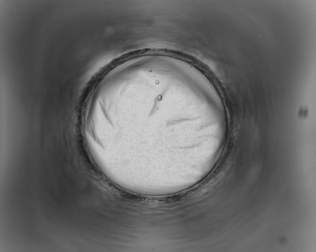 X0000101661263200808071012