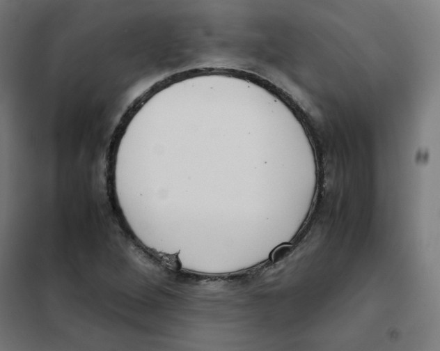 X0000101661264200808071012