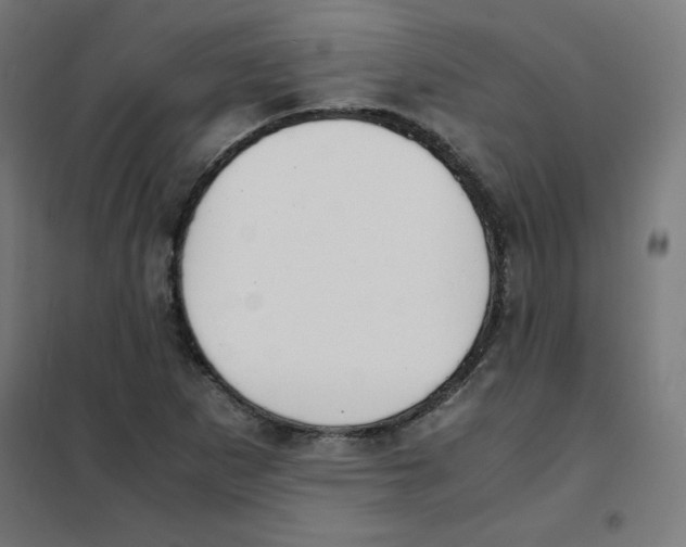 X0000101661265200808071012