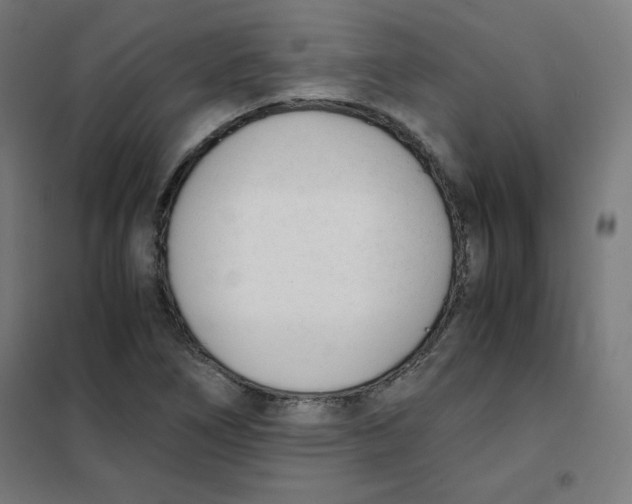 X0000101661266200808071012