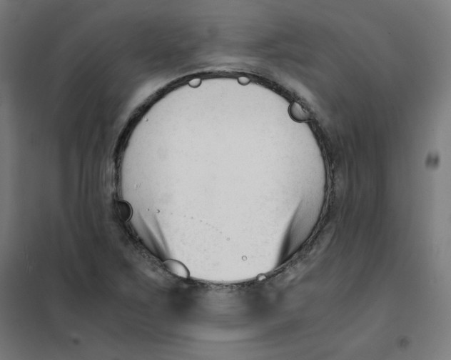 X0000101661267200808071012