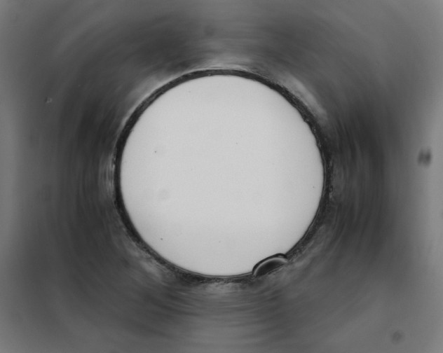 X0000101661268200808071012