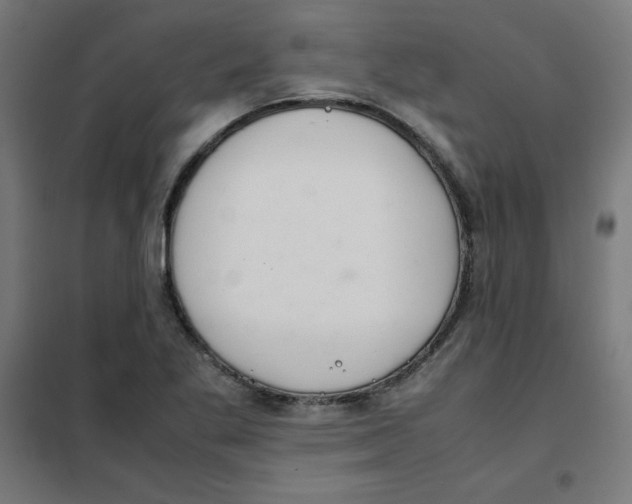 X0000101661269200808071012