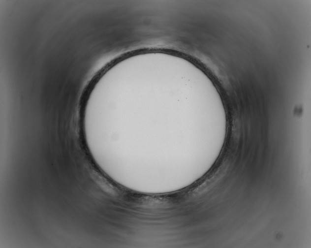 X0000101661270200808071012