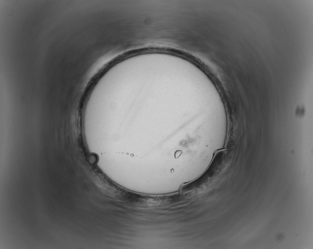 X0000101661271200808071012