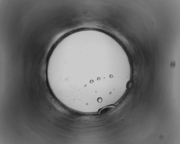 X0000101661272200808071012