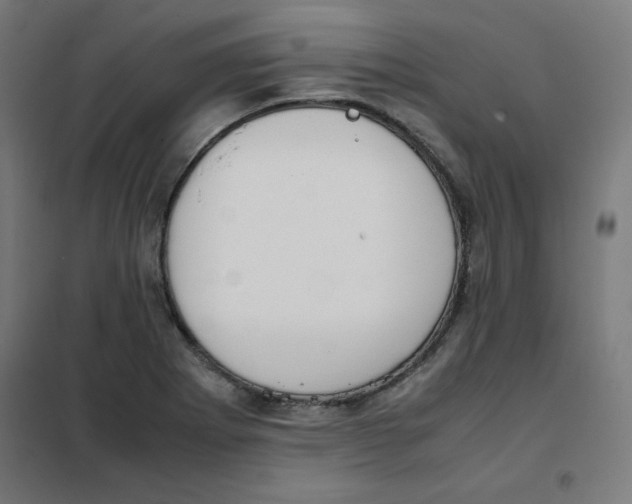 X0000101661273200808071012