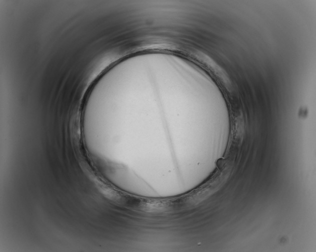 X0000101661274200808071012