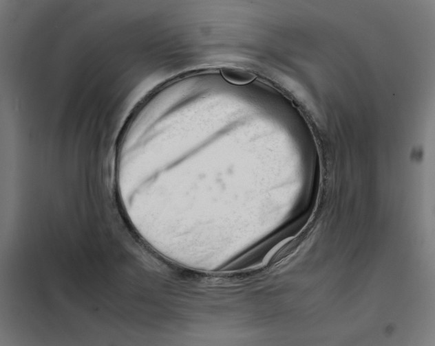 X0000101661275200808071012