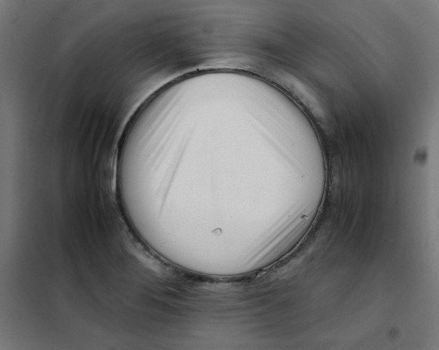 X0000101661276200808071012