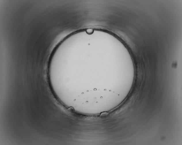X0000101661277200808071012