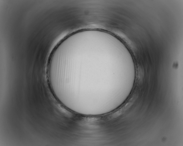 X0000101661278200808071012