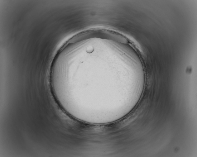 X0000101661279200808071012