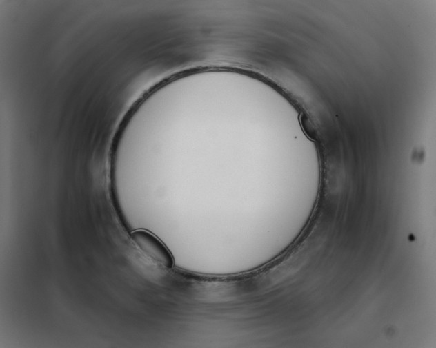 X0000101661280200808071012