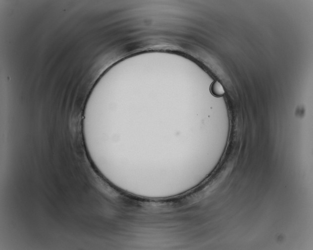 X0000101661281200808071012