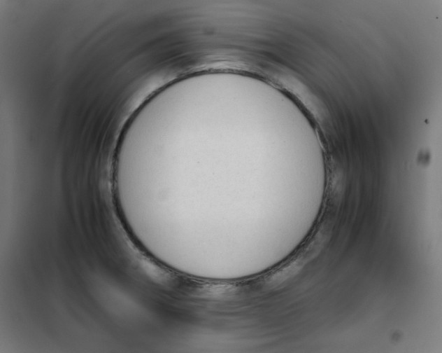 X0000101661282200808071012
