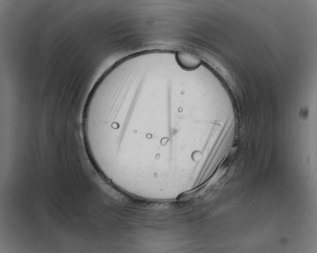 X0000101661283200808071012