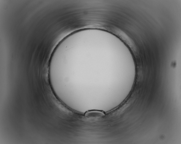 X0000101661284200808071012