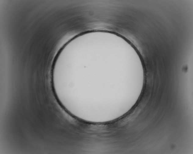 X0000101661285200808071012