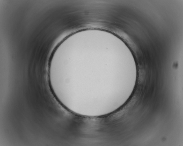 X0000101661286200808071012