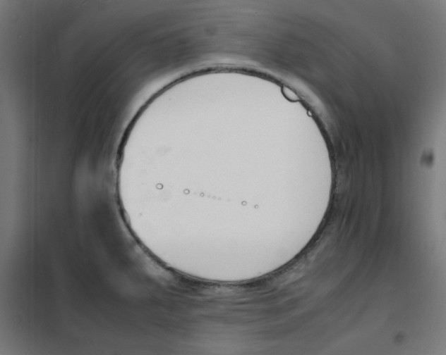 X0000101661287200808071012