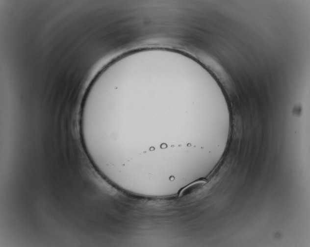 X0000101661288200808071012