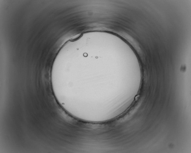 X0000101661289200808071012