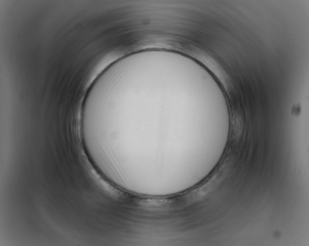 X0000101661290200808071012