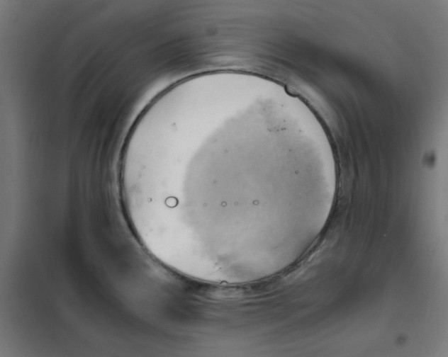 X0000101661291200808071012