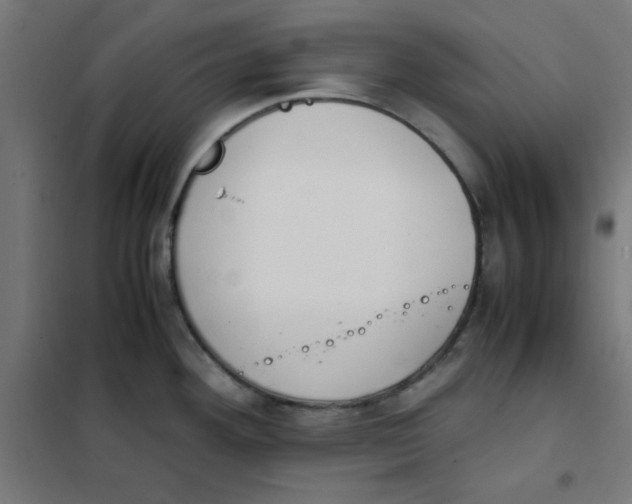 X0000101661292200808071012