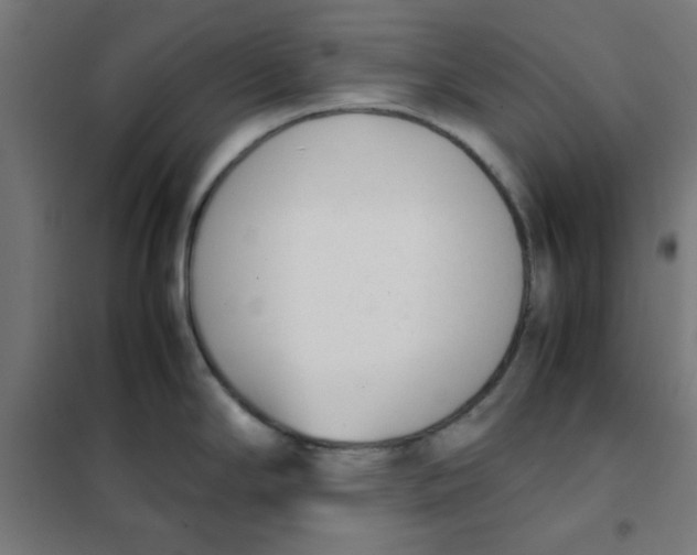 X0000101661294200808071012