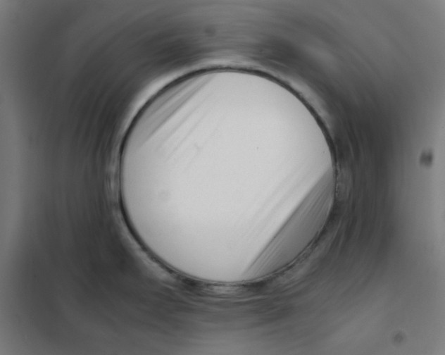 X0000101661295200808071012