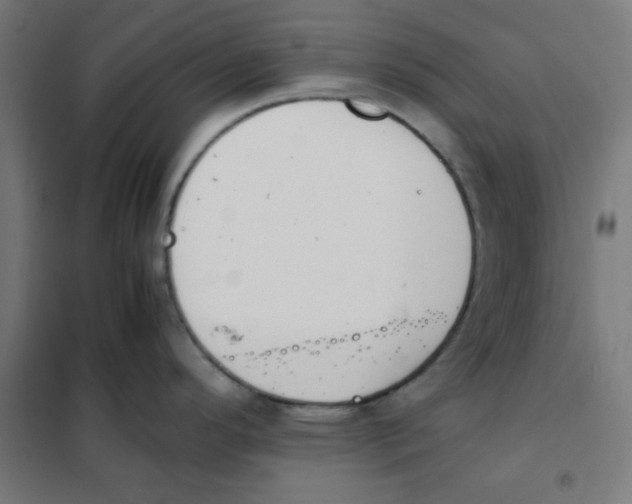 X0000101661296200808071012