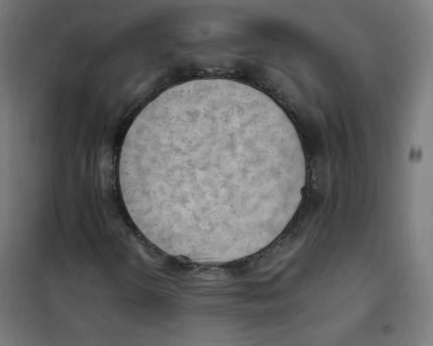 X0000101661298200808071011