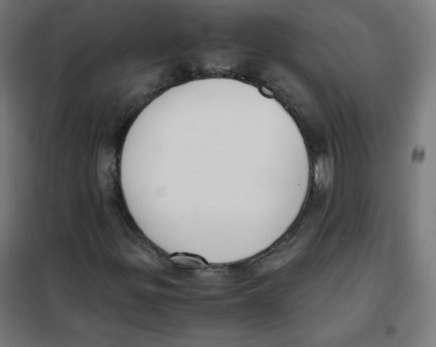 X0000101661299200808071011